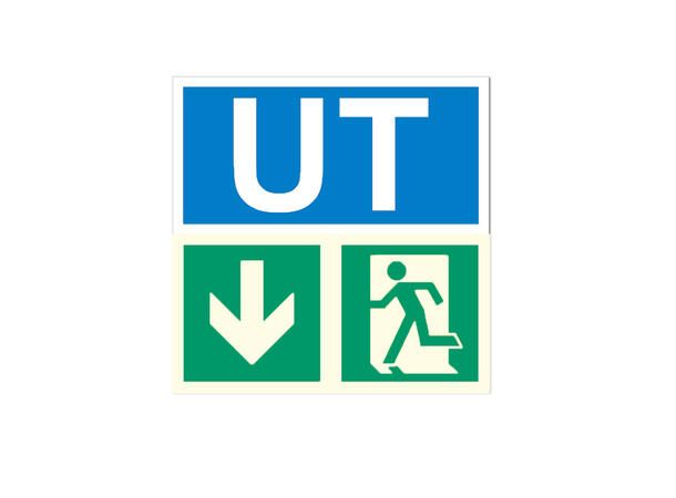 Nødutgang/UT Pil NED 300 x 300 mm - Aluminium Etterlysende 