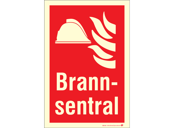 Brannsentral 200 x 300 mm - Aluminium Etterlysende 