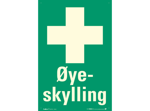 Øyeskylling 200 x  300 mm - Aluminium Etterlysende 