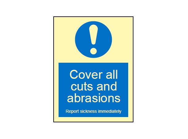 Cover all cuts and abrasions 150 x 200 mm - PET