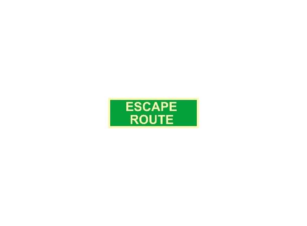 Escape route 300 x 100 mm - PET