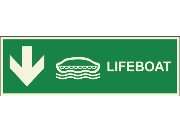 Lifeboat down 300 x 100 mm - PET